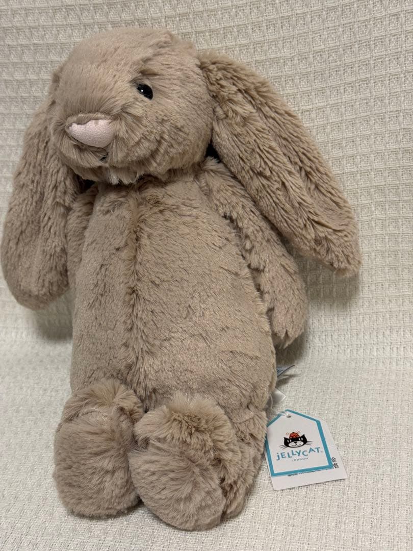  ジェリーキャットBashful Beige Bunny (M)