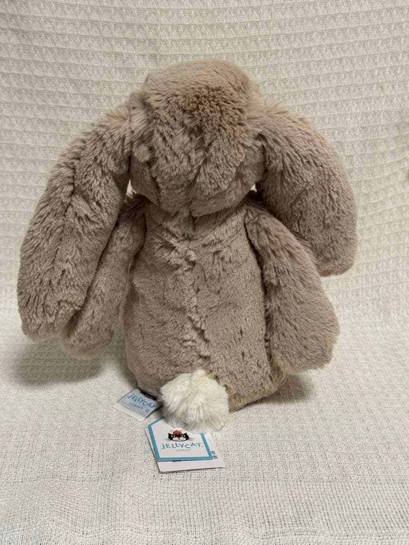  ジェリーキャットBashful Beige Bunny (M)