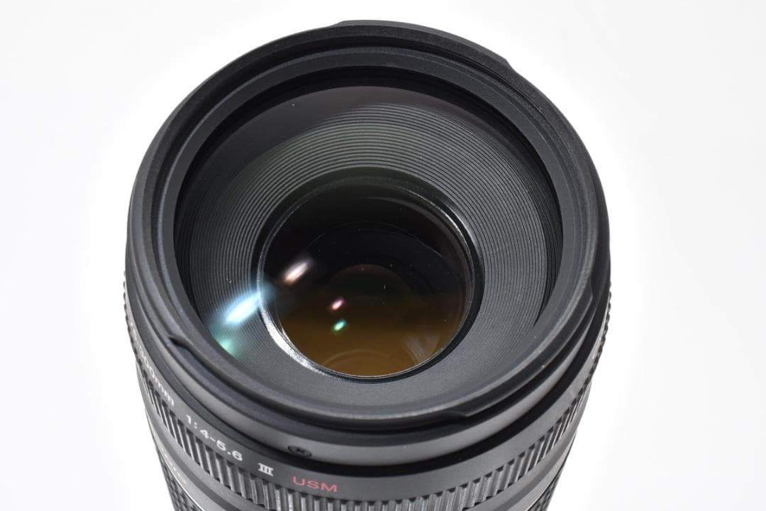★極美品★キヤノン EF 75-300mmf4-5.6 iii USM#1513