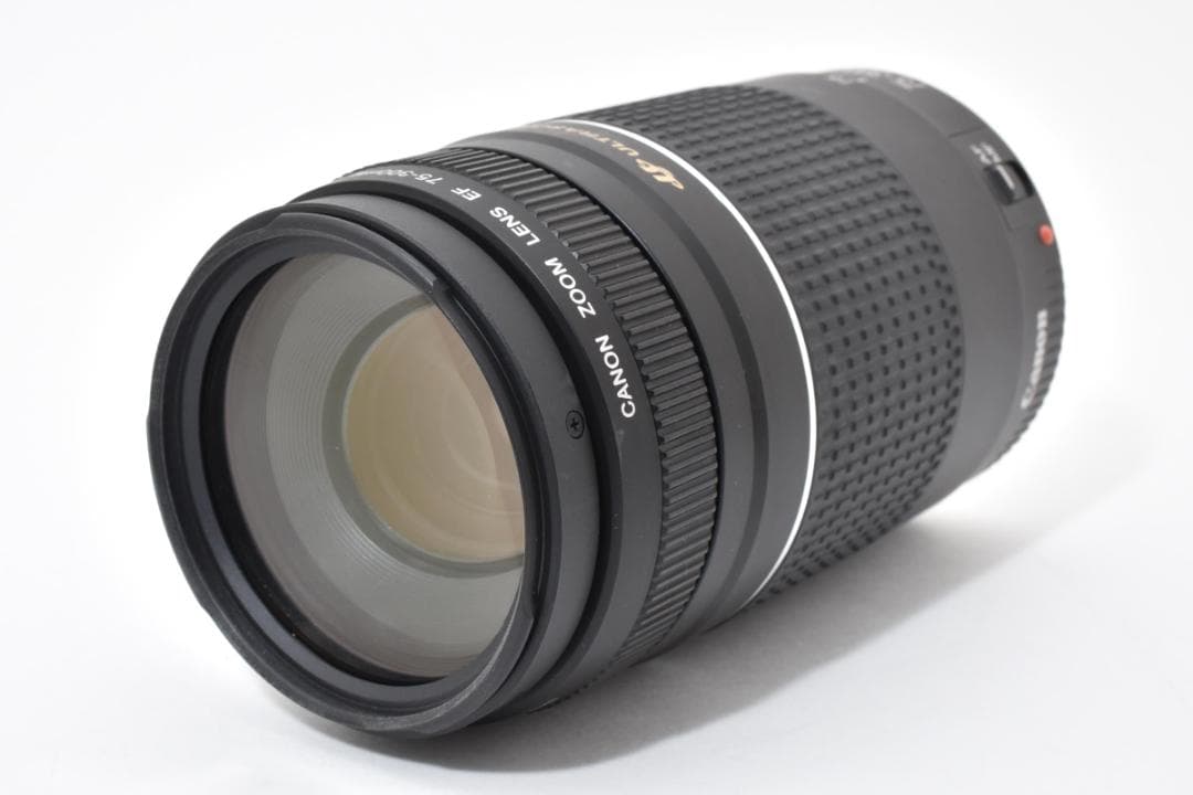 ★極美品★キヤノン EF 75-300mmf4-5.6 iii USM#1513