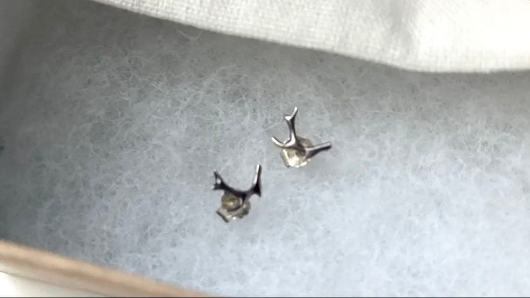 【完売中】Pluie アントラー ピアス　925