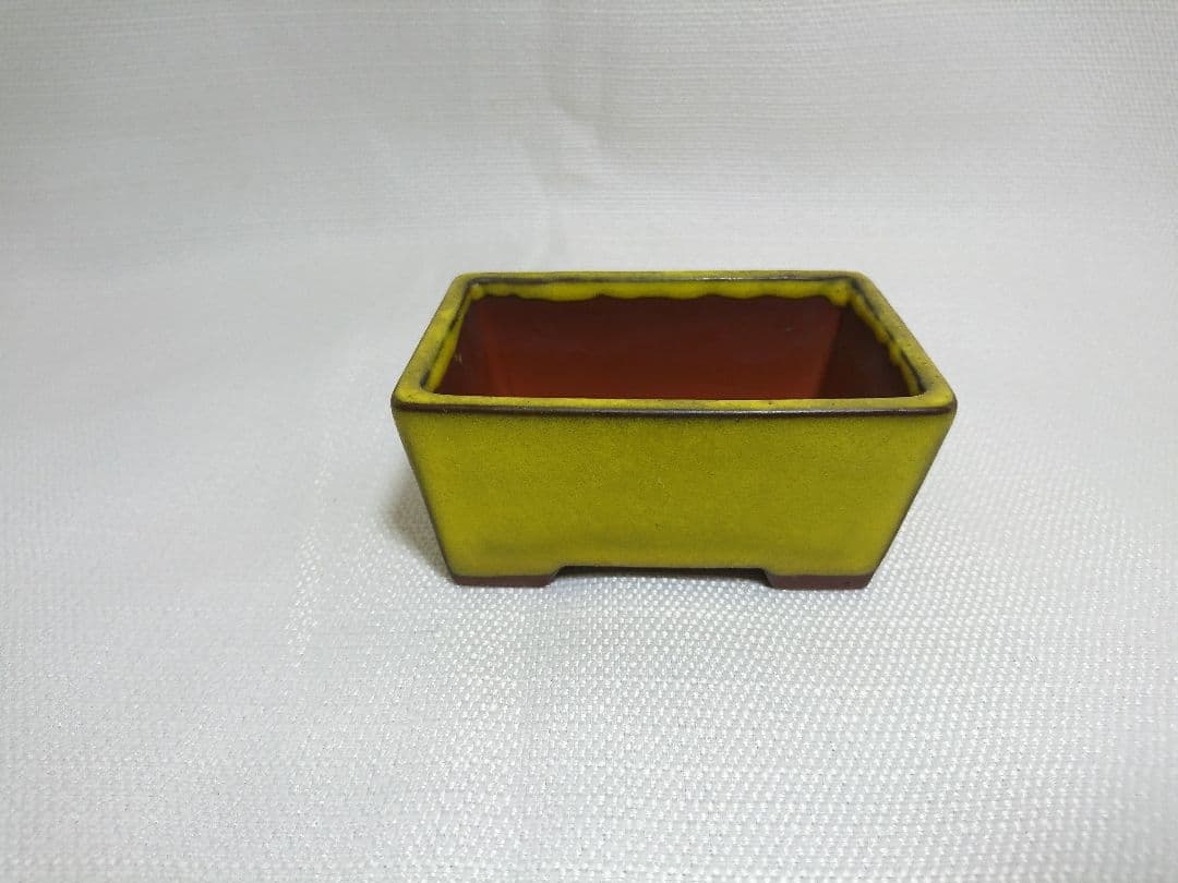 39 盆栽鉢 長方形小鉢★落款入　黄色　趣のある一品