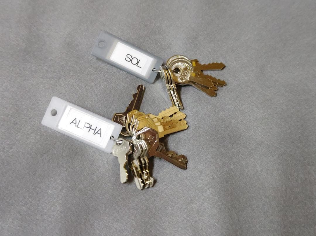 ALPHA/SOL 南京錠 同一キー 共通キー 純正キー 20本フルセット