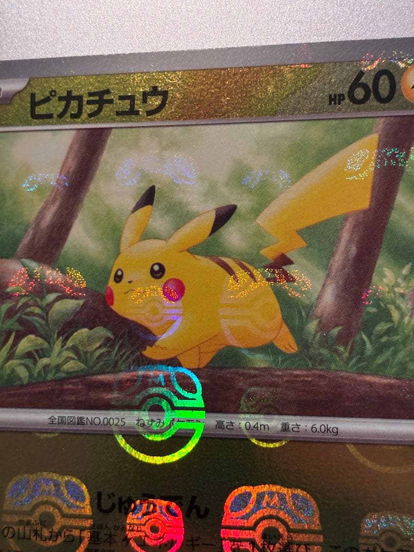 マスボピカチュウ