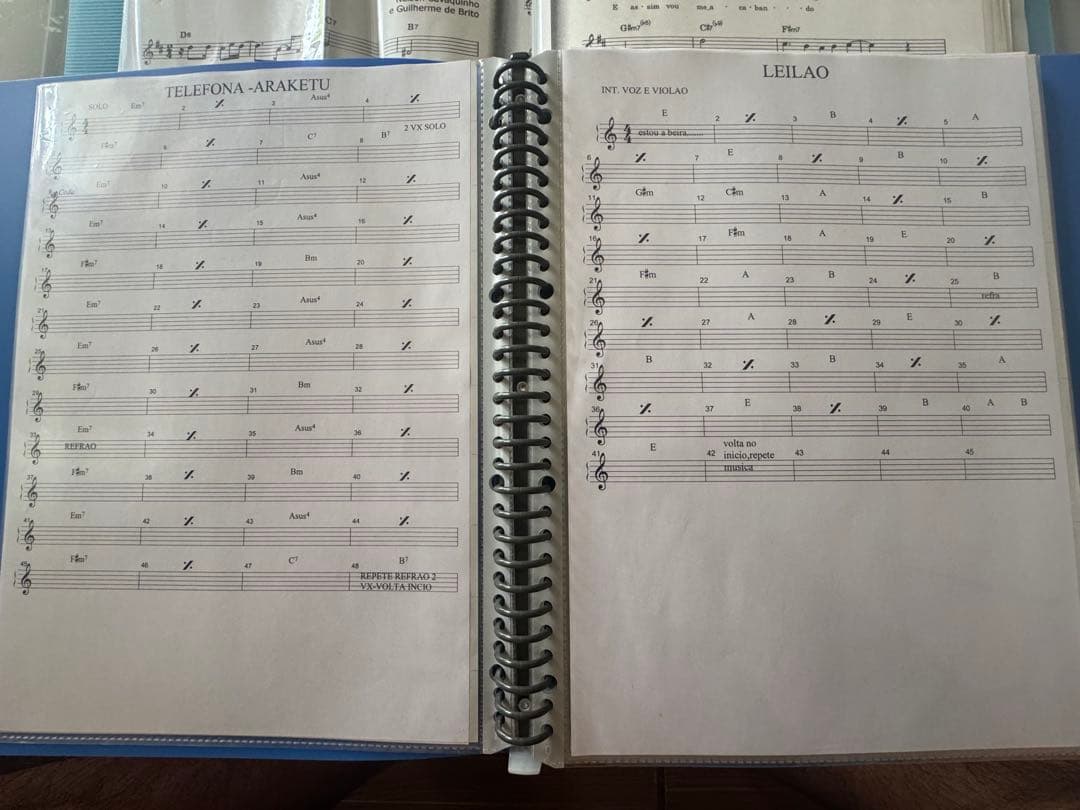 Ginga Brasilコレクション＋ギター教材付