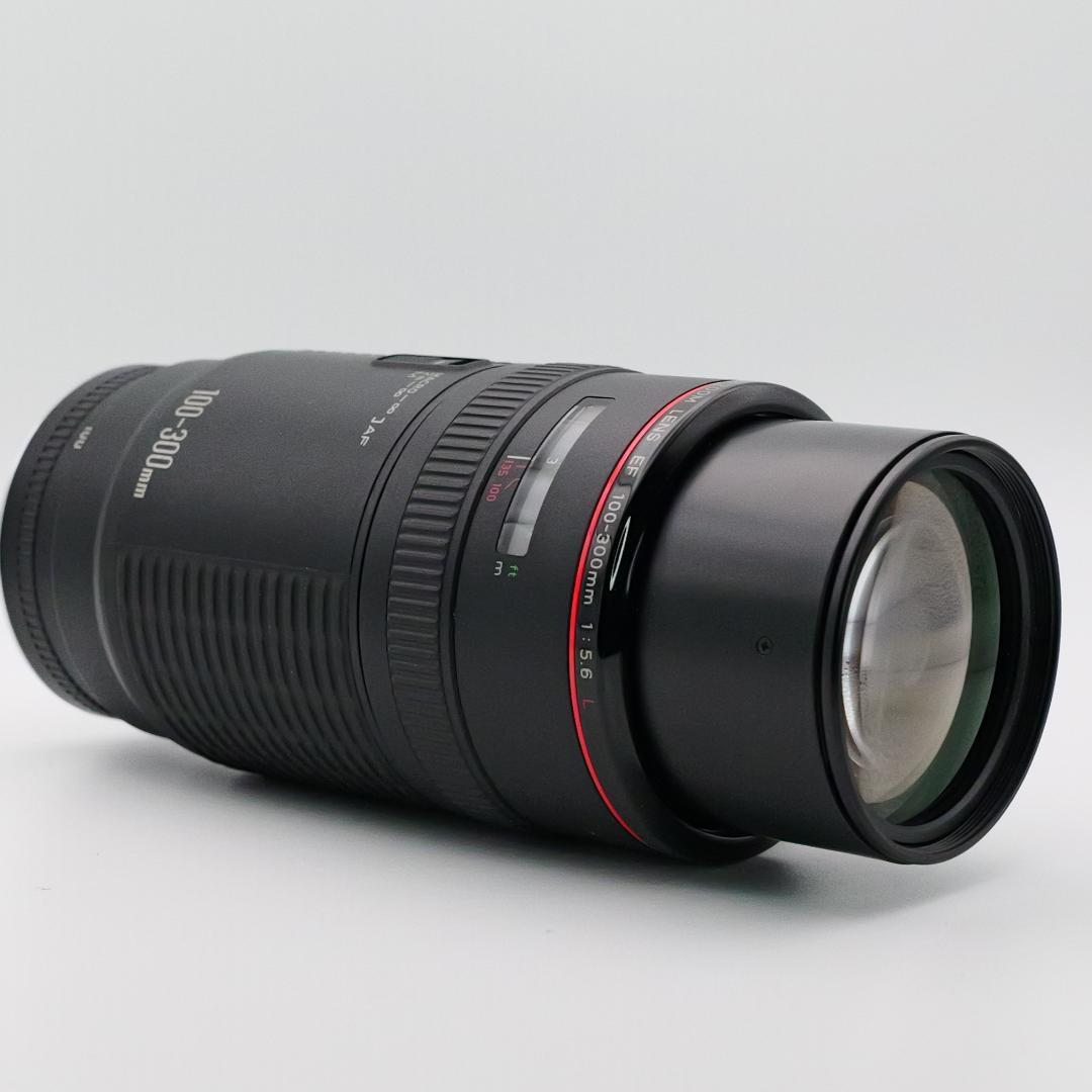【美品】Canon キヤノン EF 100-300mm F　5.6 L