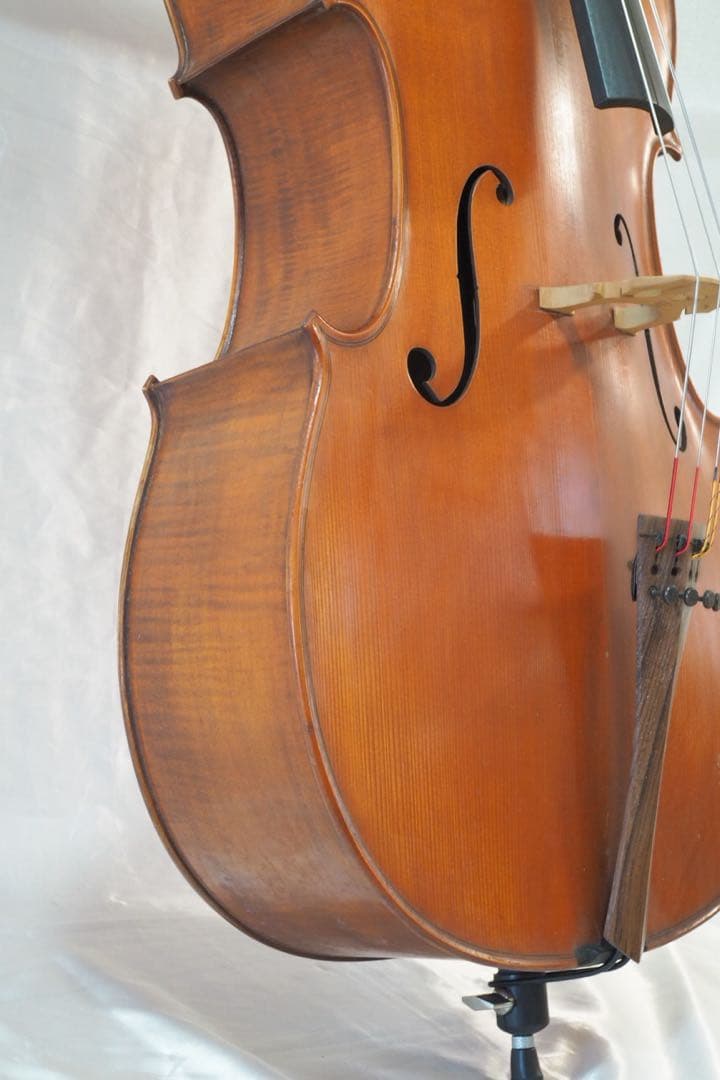 Gliga チェロ グリガ ムジリア Musilia 高級 ハードケース