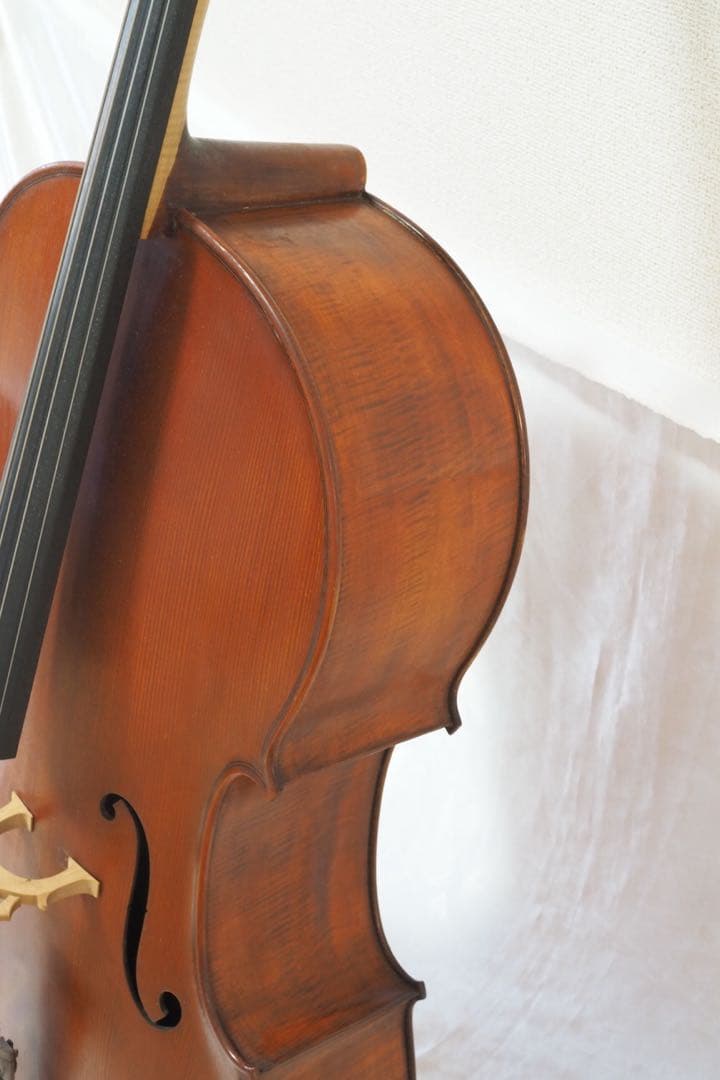 Gliga チェロ グリガ ムジリア Musilia 高級 ハードケース