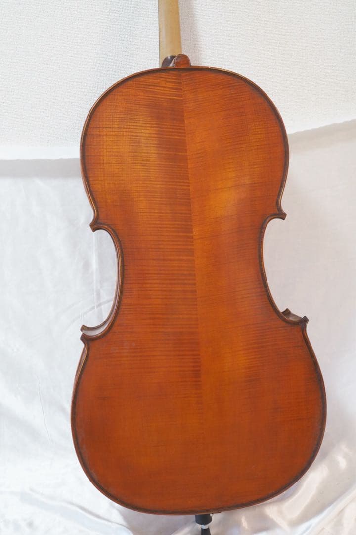 Gliga チェロ グリガ ムジリア Musilia 高級 ハードケース