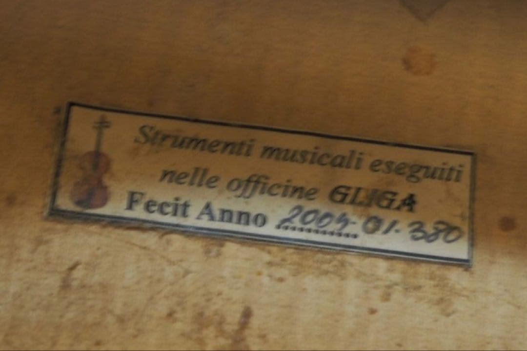 Gliga チェロ グリガ ムジリア Musilia 高級 ハードケース