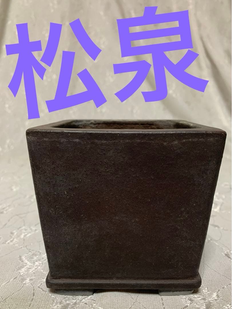 十五堂松泉　山秋　盆栽鉢　正方