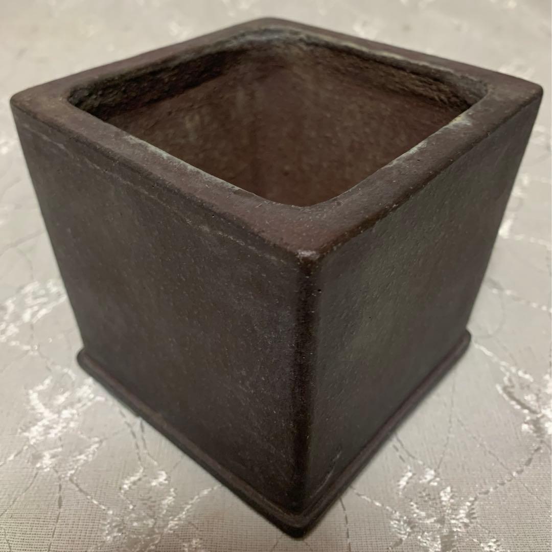 十五堂松泉　山秋　盆栽鉢　正方