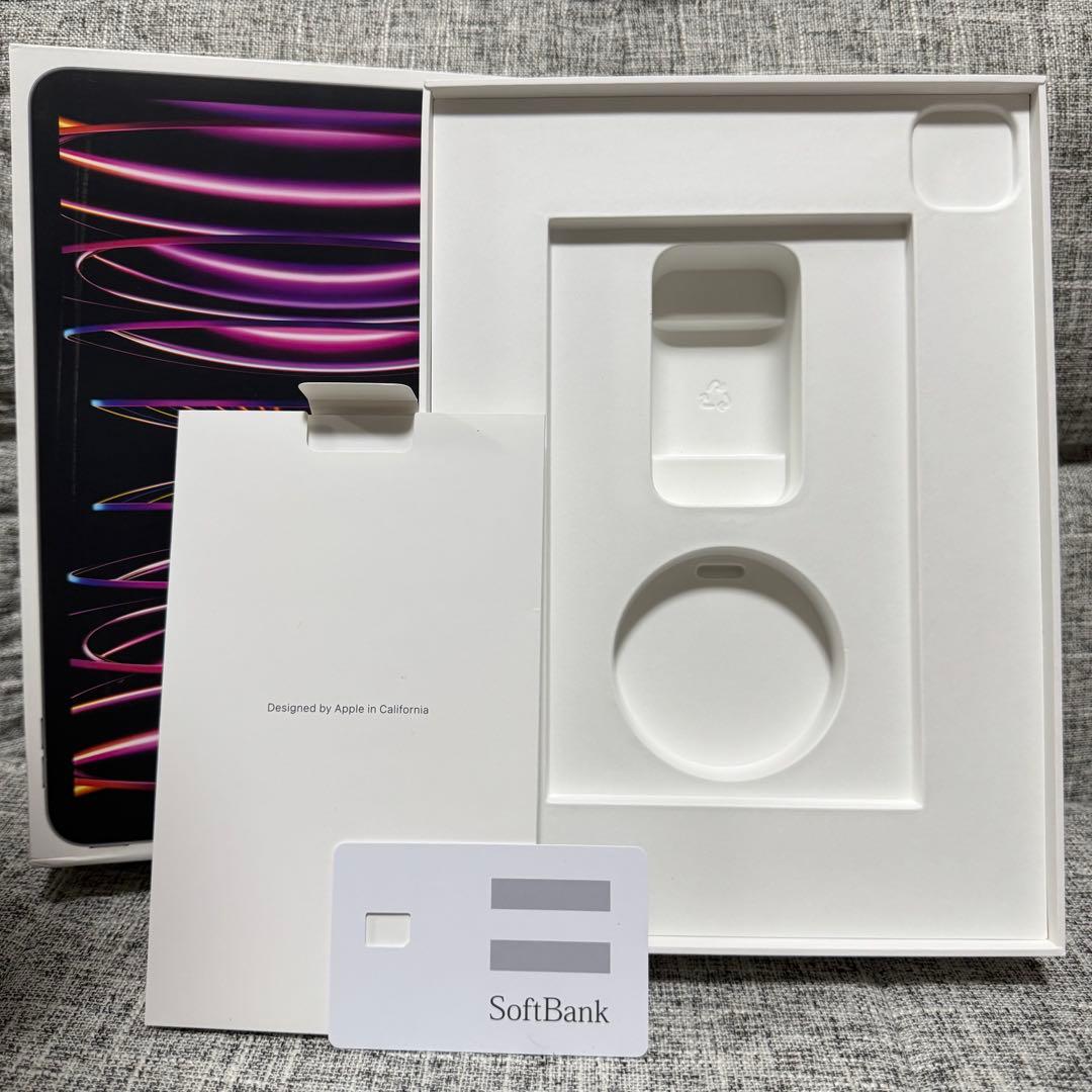 iPadPro11インチ第4世代512GB WiFi + Cellularモデル