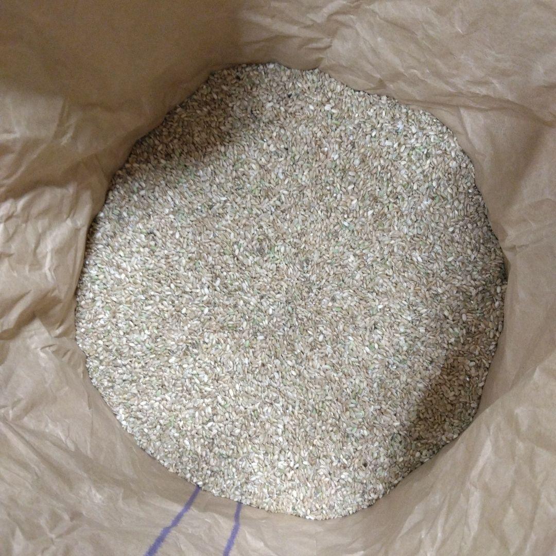 令和6年度産 くず米 20kg