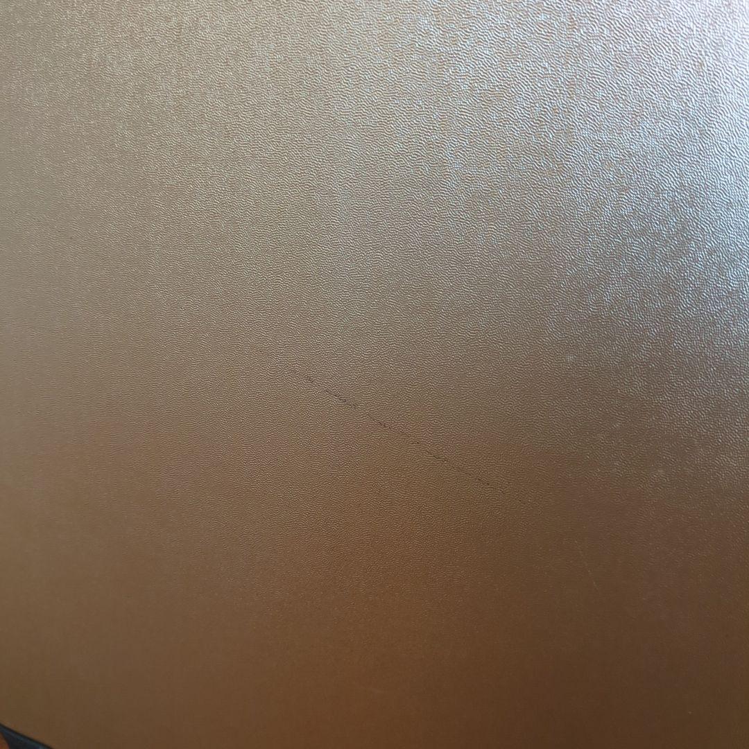 ProtecA プロテカ ゴールド スーツケース/65L エキノックスライト