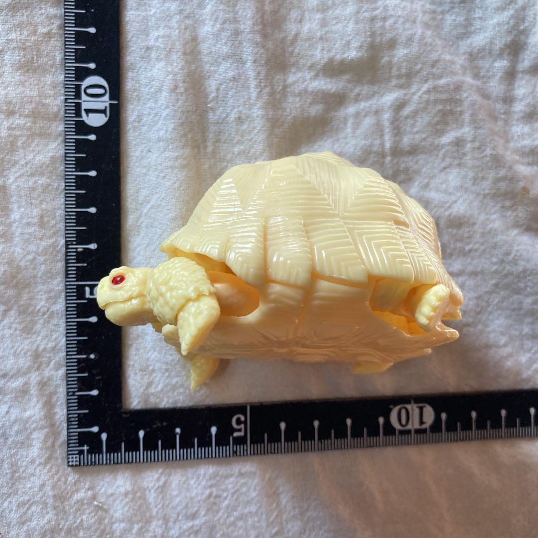 亀　フィギュア　ガチャ　バンダイ　ミルキーカラー　赤目