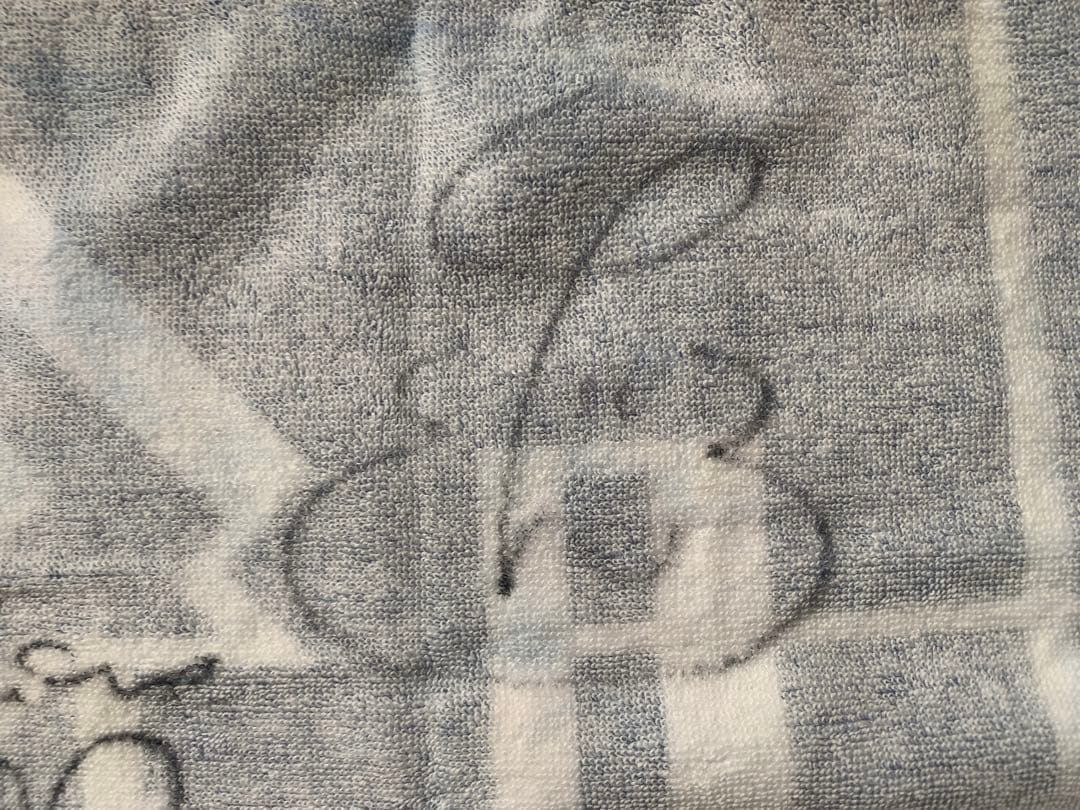 激レア世界の終わり 直筆サイン入りタオル