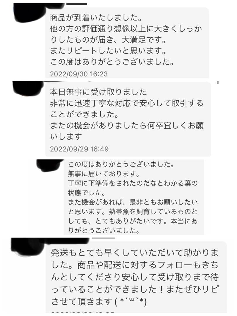 沖縄県やんばる産マジックリーフ 1kg UV殺菌灯照射済み⑥