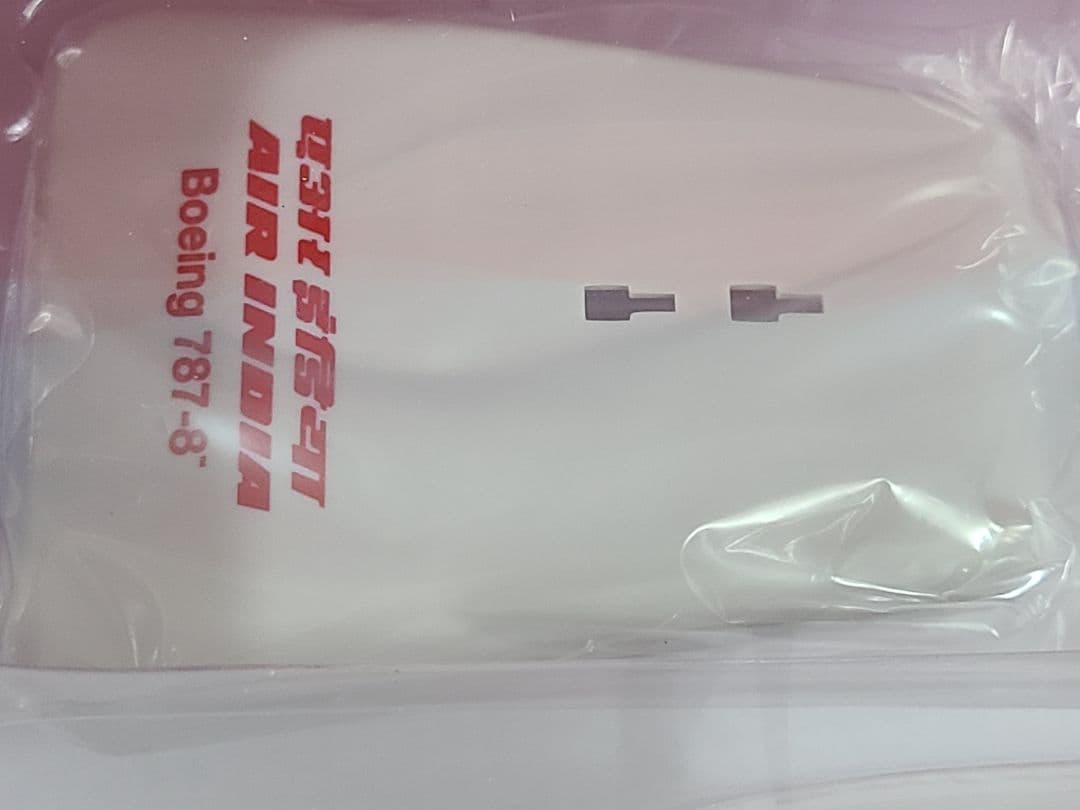 B787-8 エアインディア 飛行姿勢 (スタンド付属) 希少