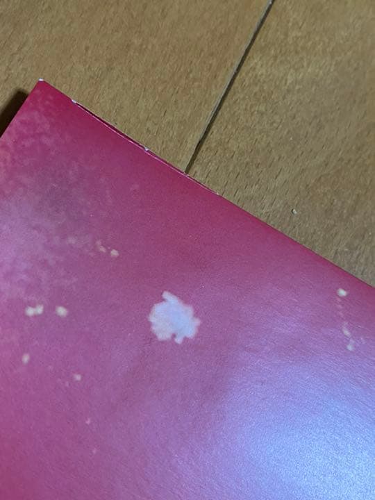 【未使用】mtg force of will 意志の力　リトグラフ