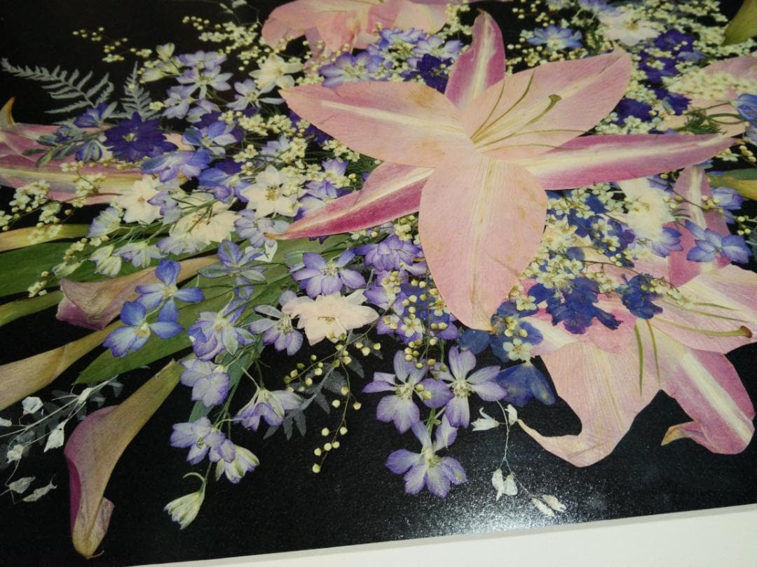 手作り　押し花額　73cm×57cm　2