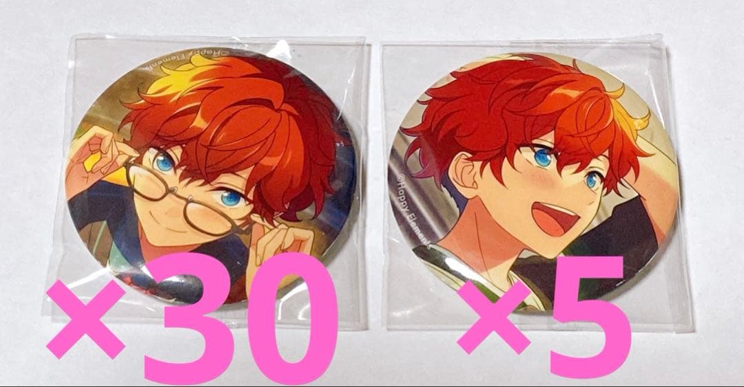 あんスタ 天城一彩 テーマスカウト缶バッジ 2022 summer 35点