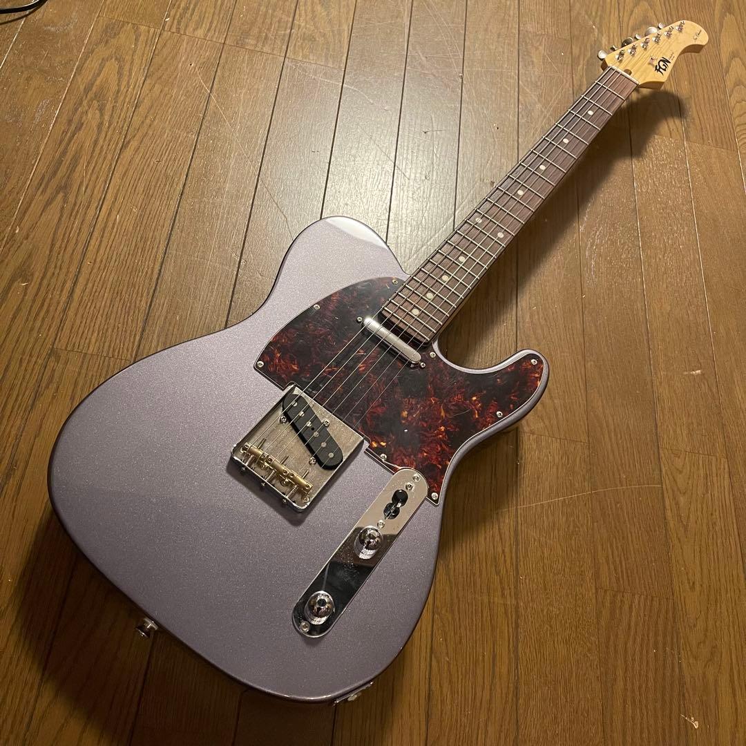 FGN(fujigen) NTE10RAL-CC/01【限定カラー】