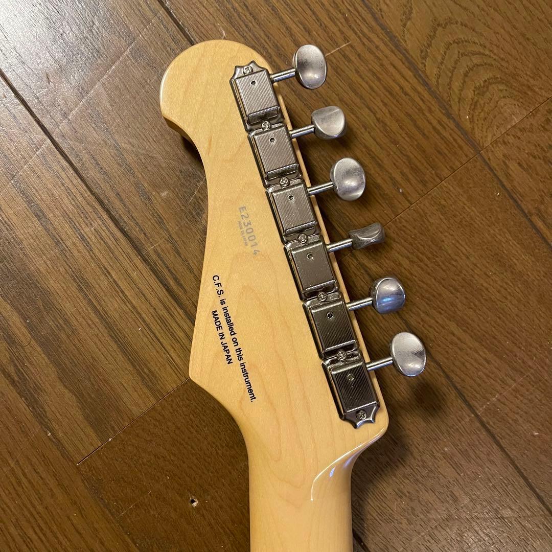 FGN(fujigen) NTE10RAL-CC/01【限定カラー】