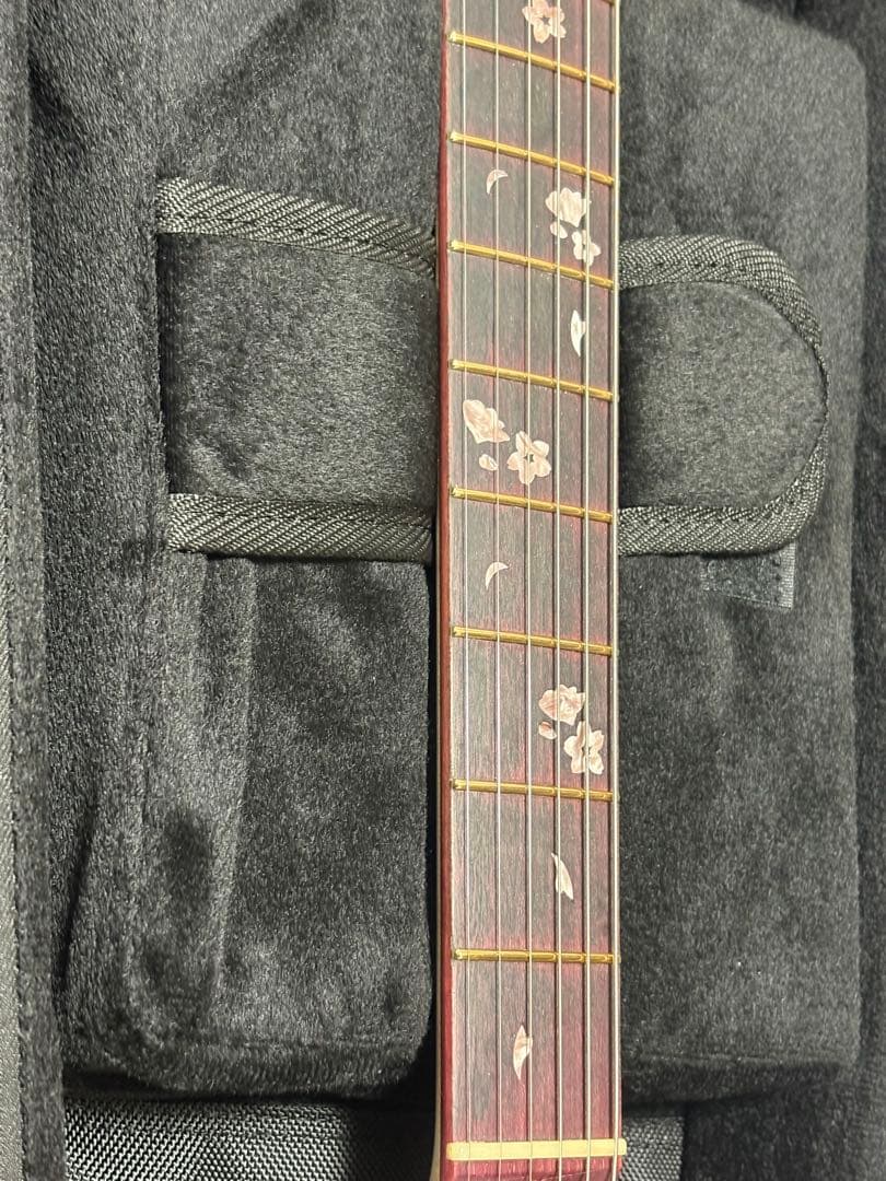 MOMOSE MC-SAKURA-SP22/PH 2022年大商談会限定