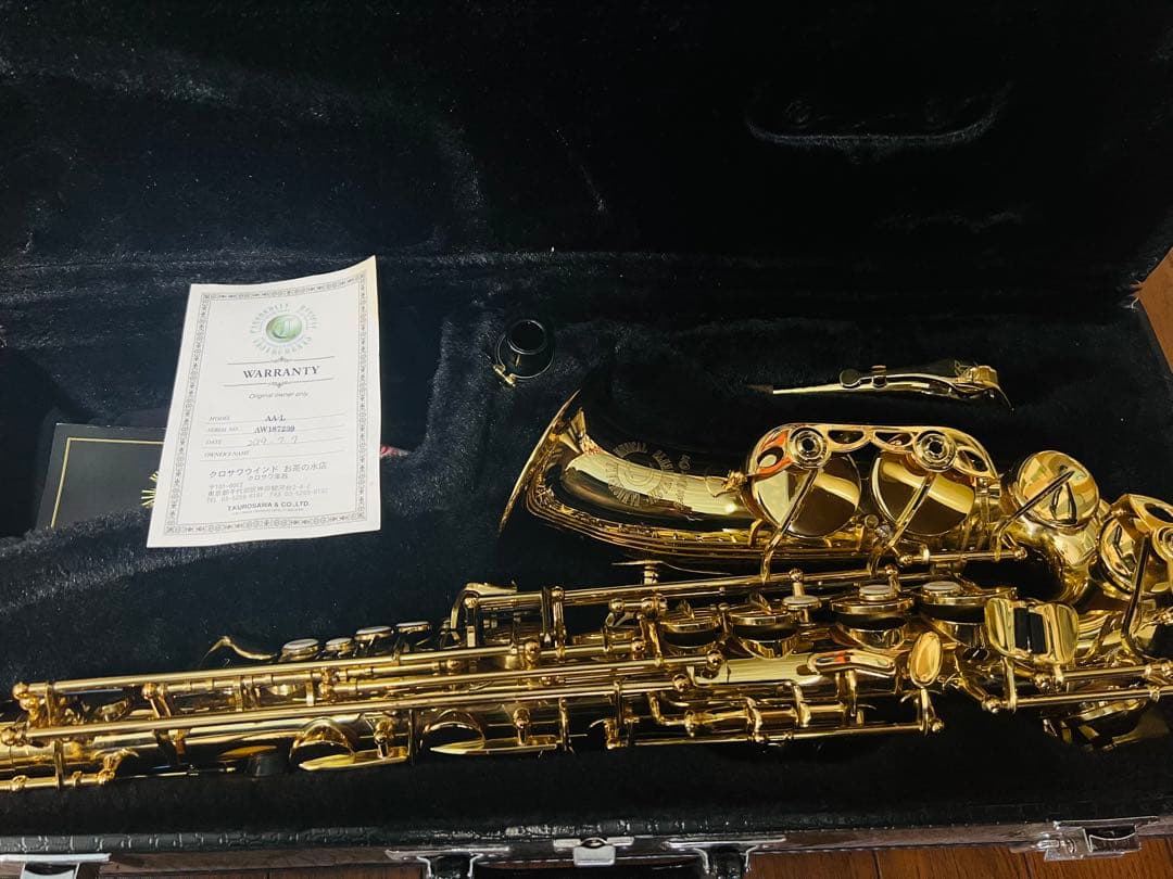 アルトサックス　キャノンボール　CannonBall