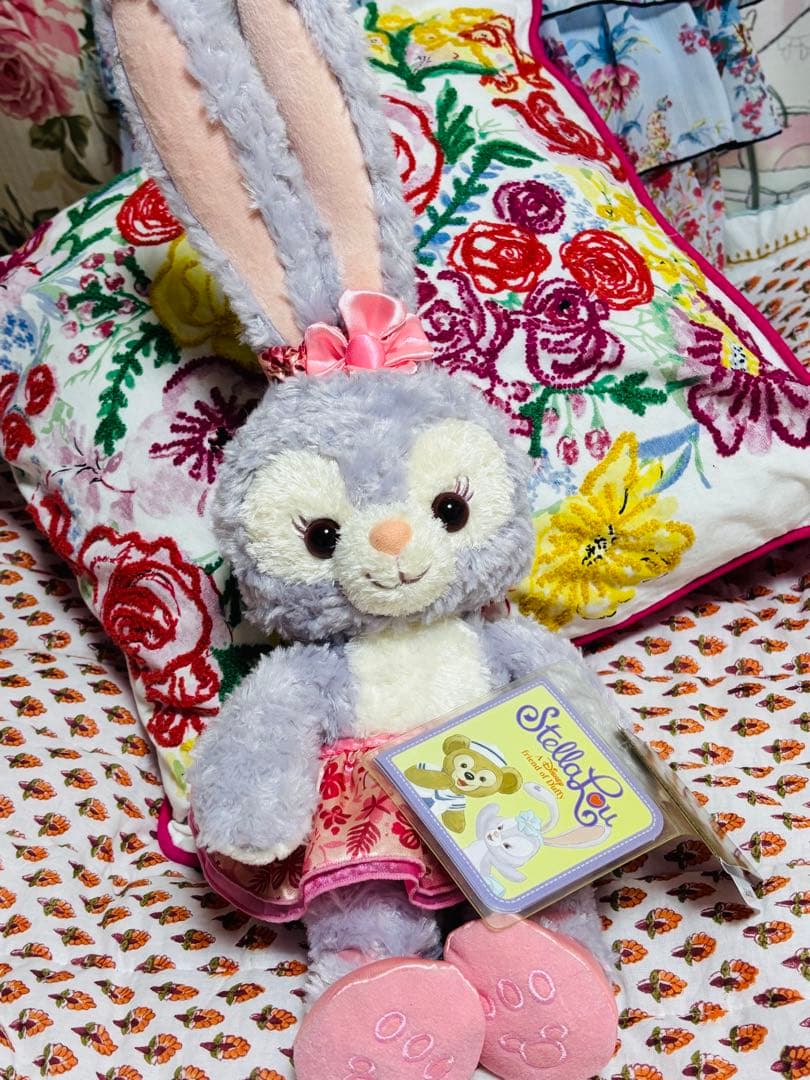 アウラニ ステラルーぬいぐるみSS❣️写真の子♡♡新品タグ付き✨