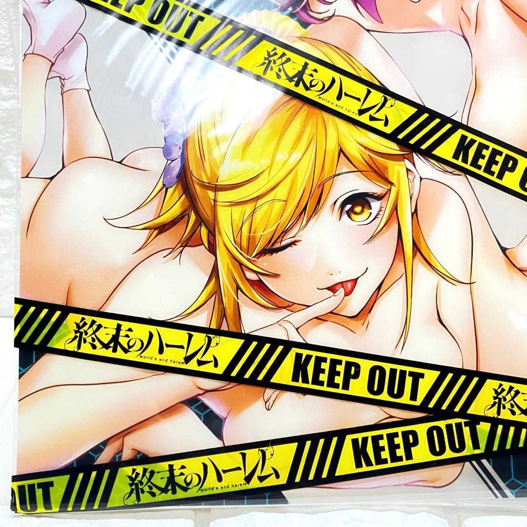 終末のハーレム 特製クリアカラー 下敷き World's End Harem⭐︎