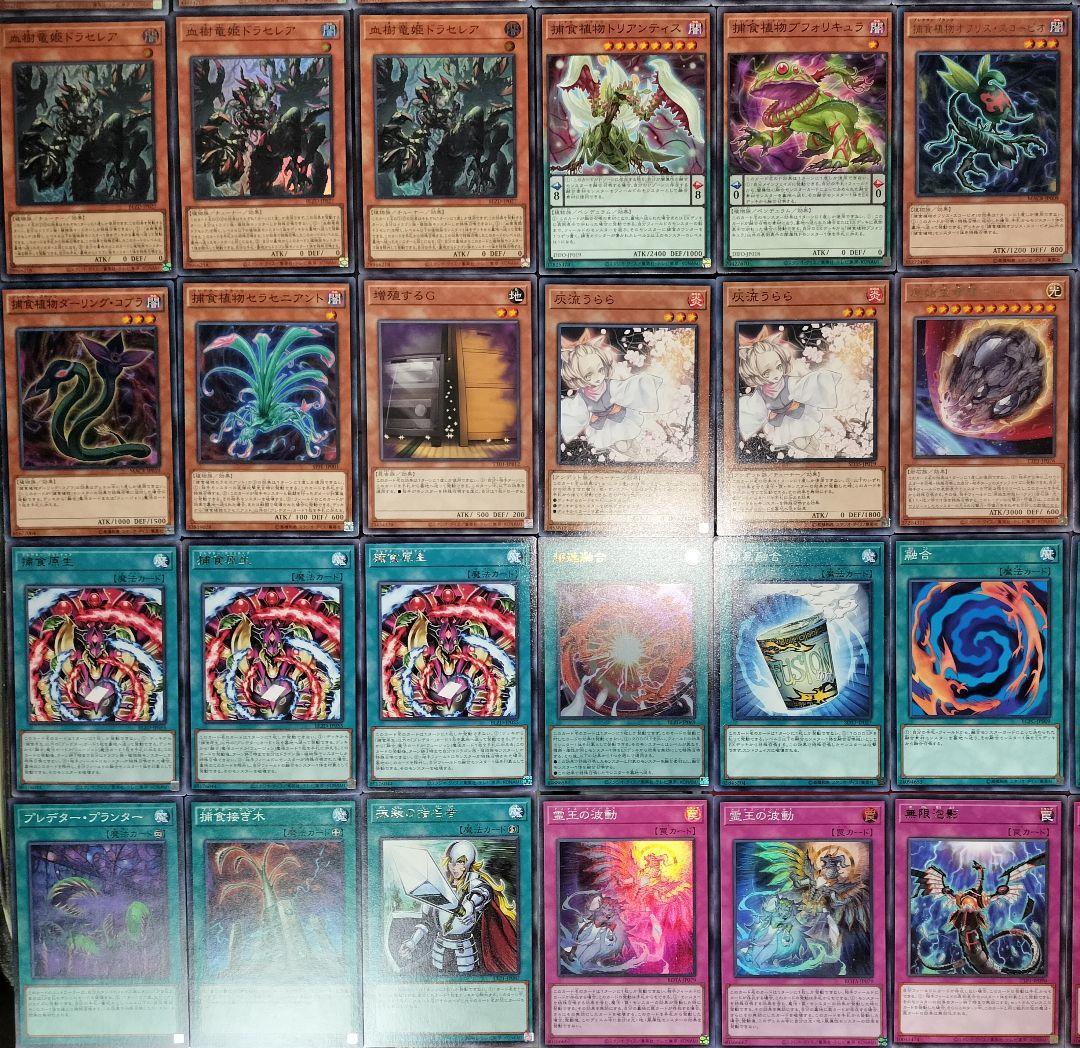 遊戯王デッキ　捕食植物デッキ　ガチ構築　プレデタープランツ