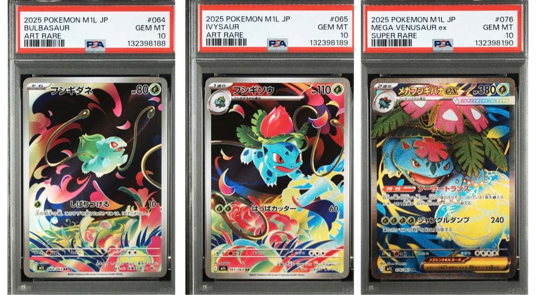 【PSA10】フシギダネ フシギソウ メガフシギバナex 3連番