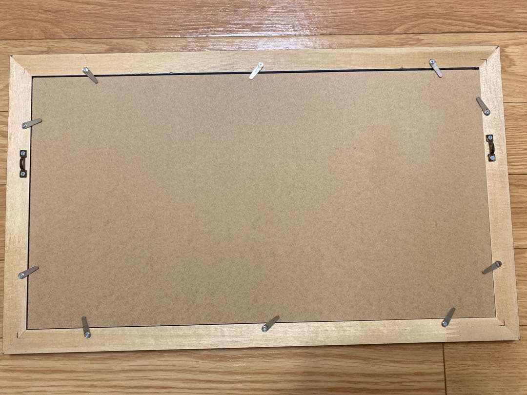 ディズニーランド　トゥーンタウン　オープン記念　パスポート