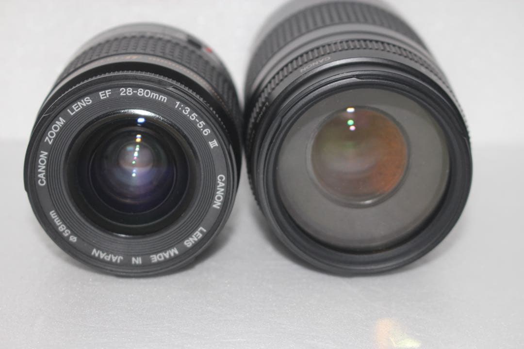 デジタル一眼レフカメラCanon EOS 80D 標準&望遠ダブルレンズセット