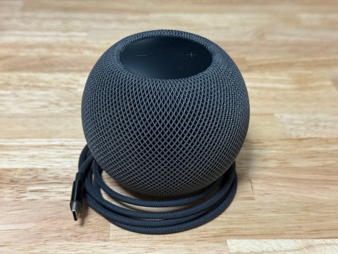 Pod mini スペースグレイ MY5G2J/A 美品 付属品完備