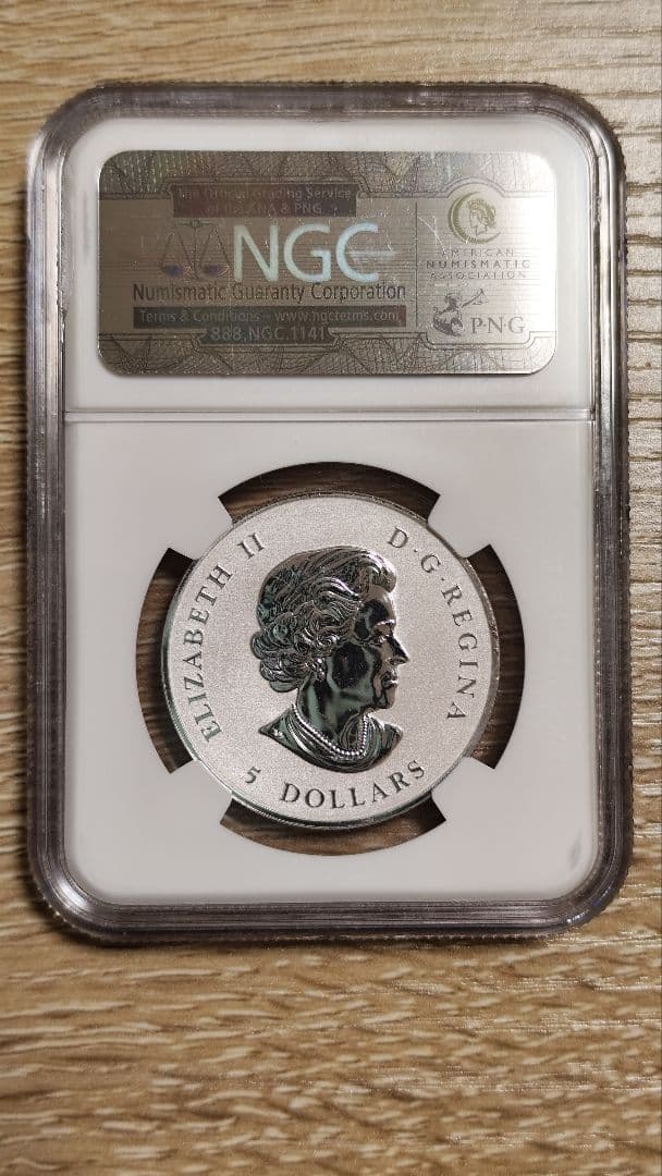 2010年 カナダ メイプルリーフ ピエフォー 5ドル 銀貨 1oz