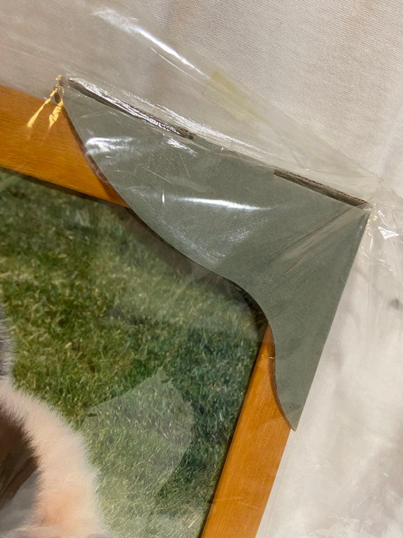 【非売品】アドベンチャーワールド　双子パンダ DVD 写真 A4フレーム レア