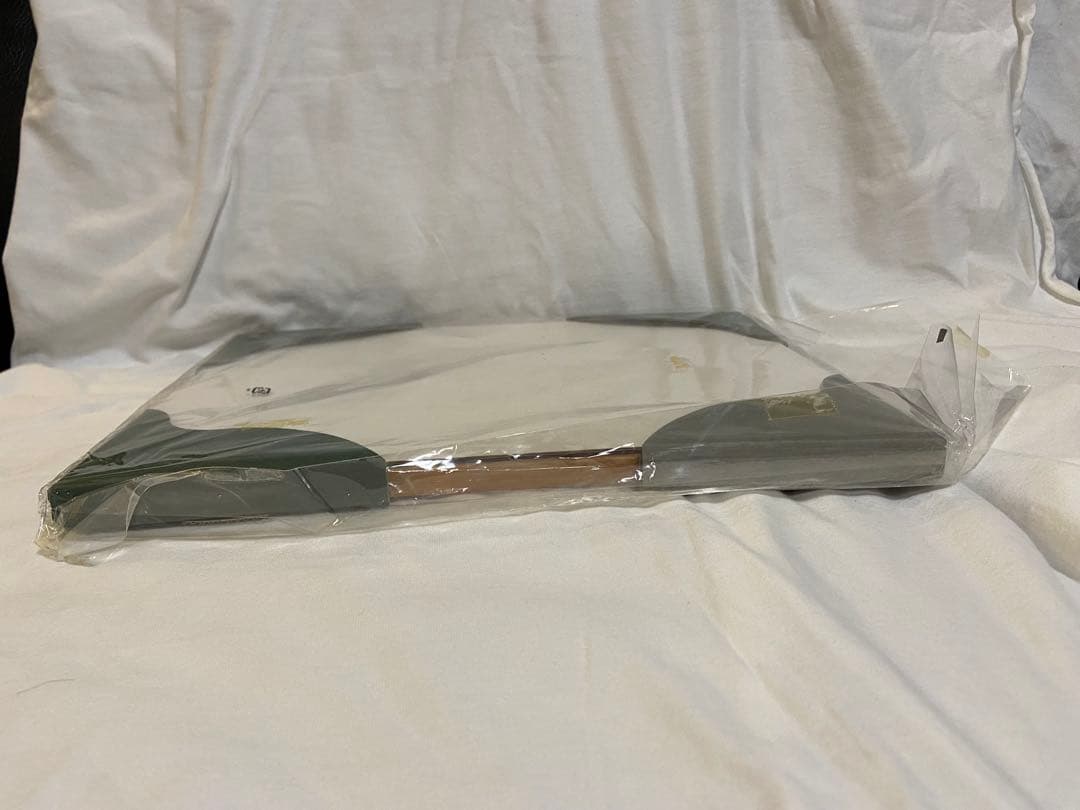 【非売品】アドベンチャーワールド　双子パンダ DVD 写真 A4フレーム レア