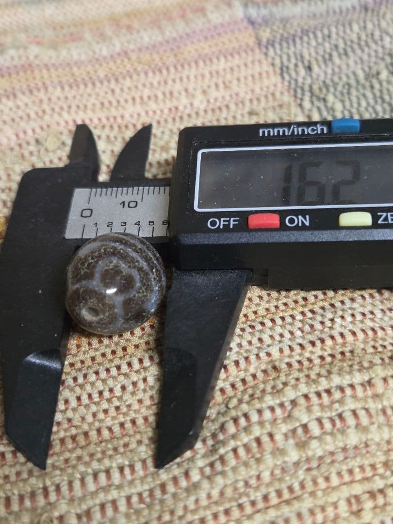 052　天珠　楕円形　虎牙蓮花天珠　dzibeads！