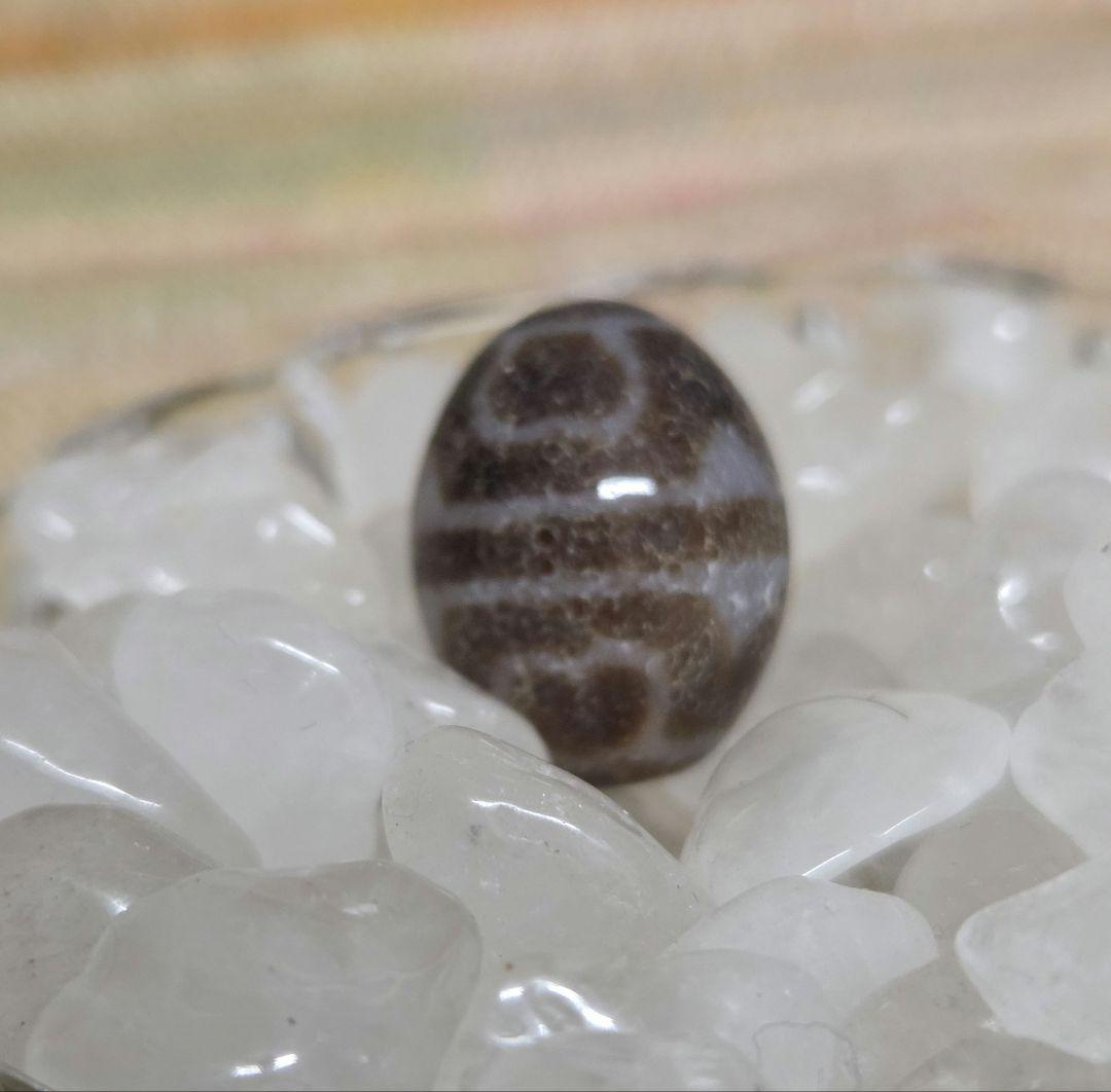 052　天珠　楕円形　虎牙蓮花天珠　dzibeads！