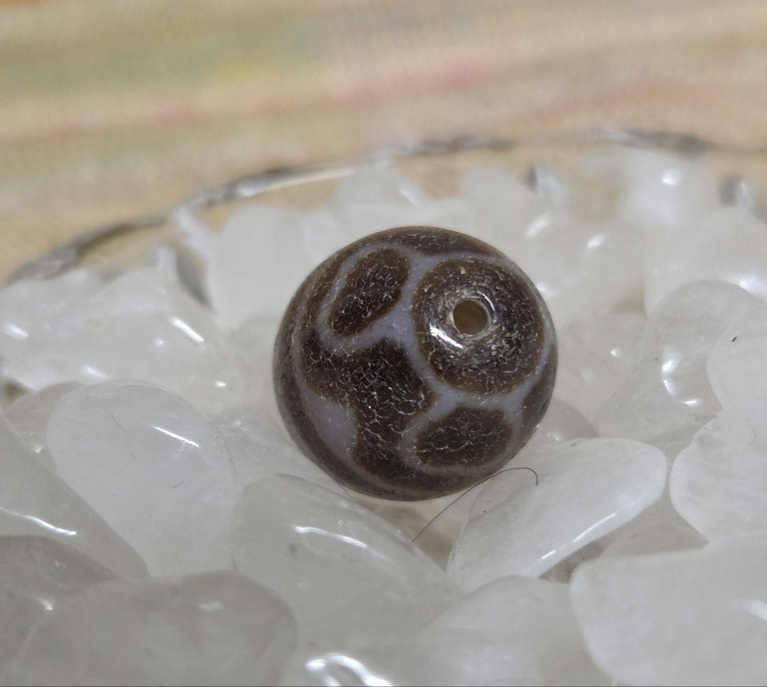 052　天珠　楕円形　虎牙蓮花天珠　dzibeads！