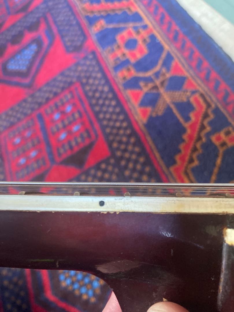 Stella E-86T フルアコ ビザール アーチトップ