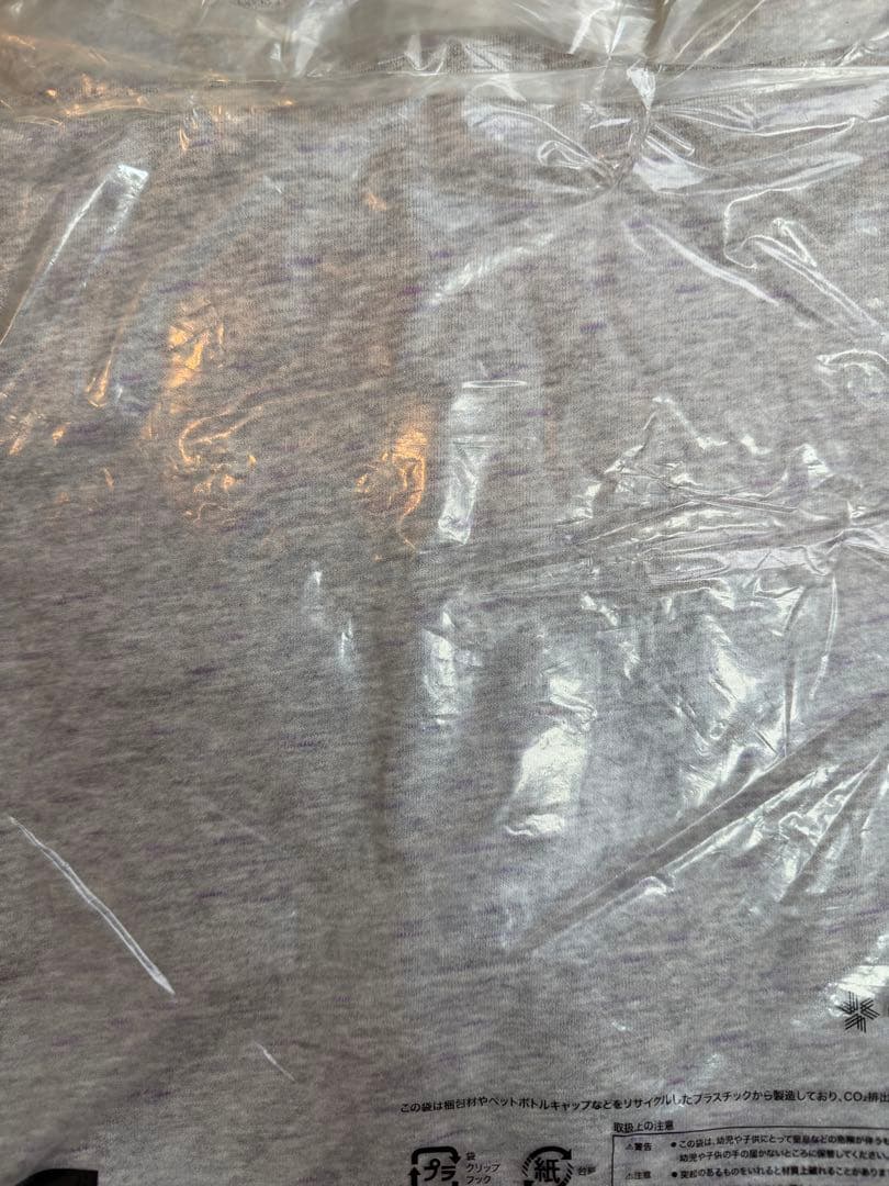 新品未使用 PALACE THE NORTH FACE supreme