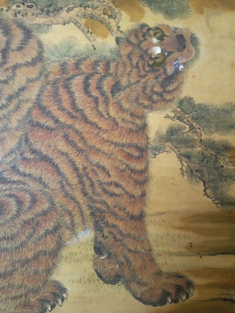 掛け軸、虎画(絹本）、常山源瑛画