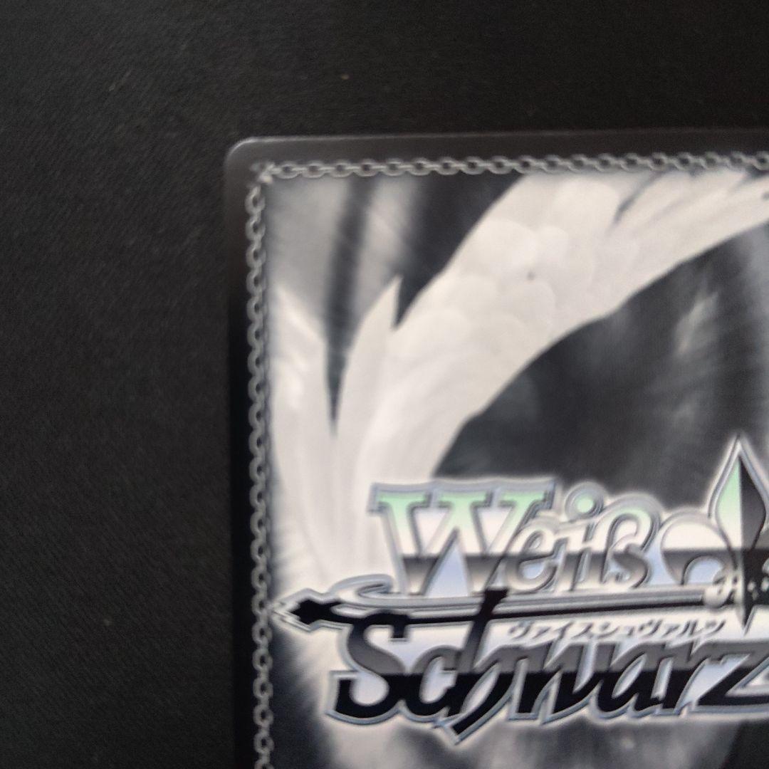 ヴァイスシュヴァルツ 信濃 SP