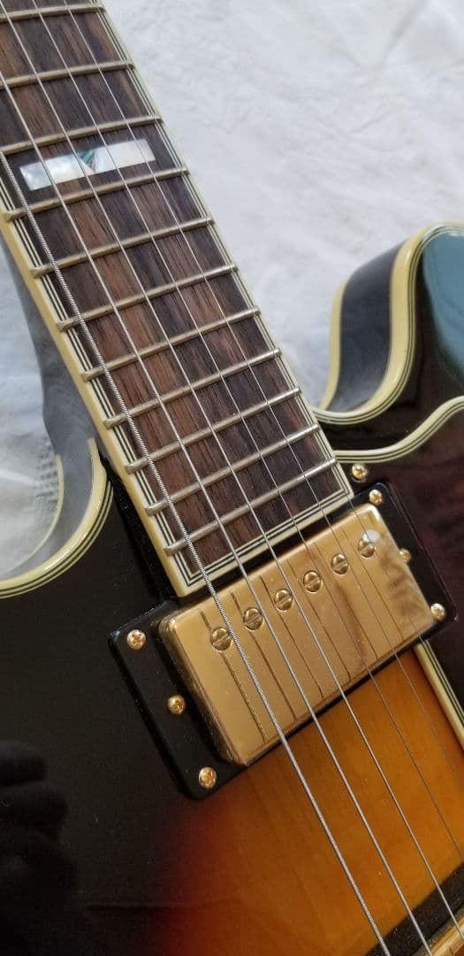 新品同様 Epiphone Sheraton II Pro 純正ハードケース