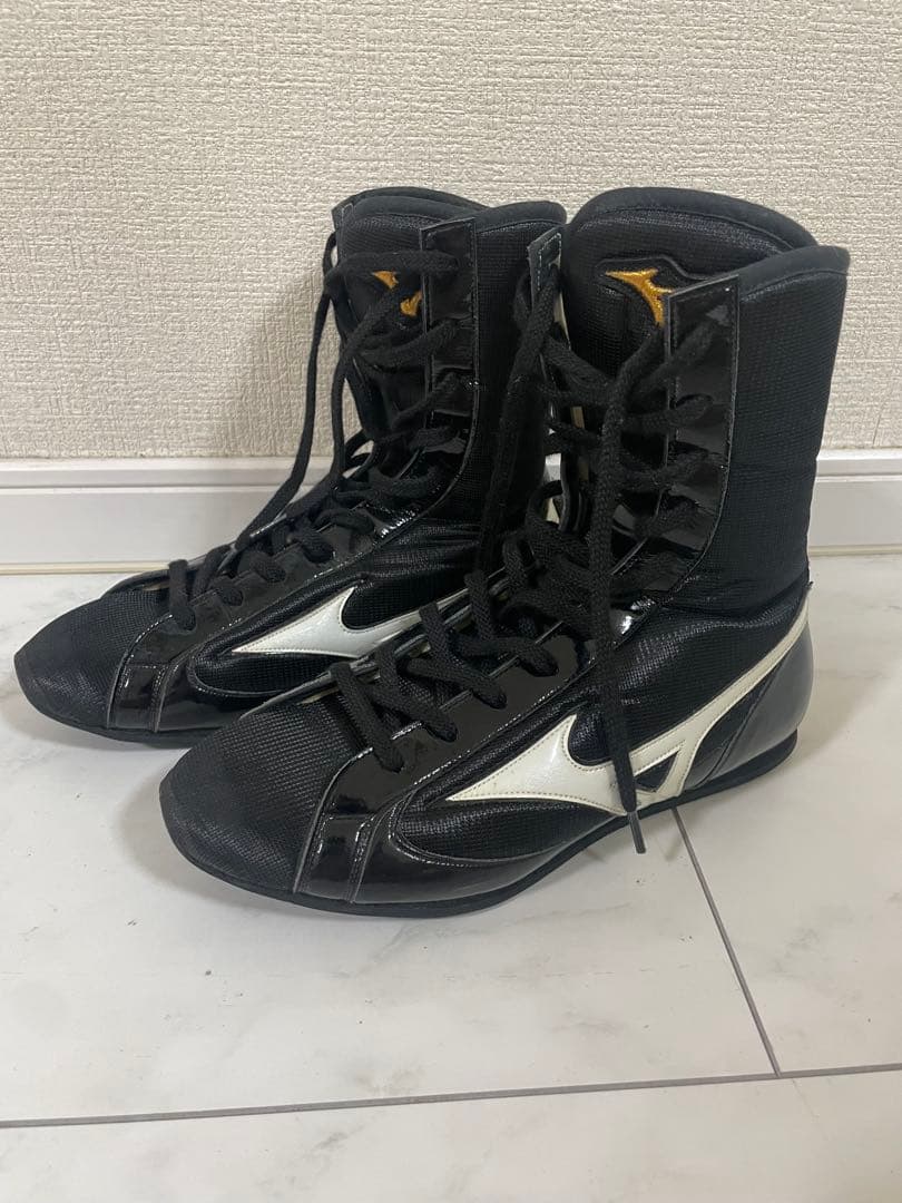 Mizuno ボクシングシューズ 25㎝
