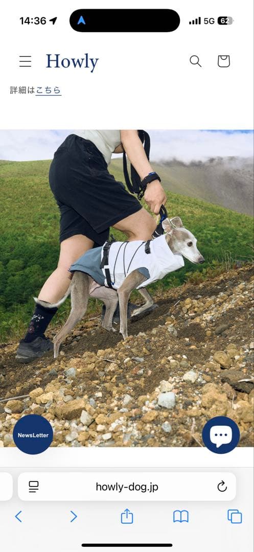 【Mサイズ白】 試着のみHowly FRAME-X ADV HARNESS